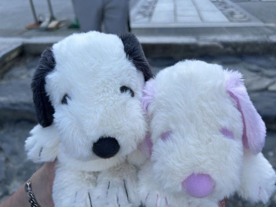 snoopy35b's tweet photo. https://t.co/TtYy5EwxFp