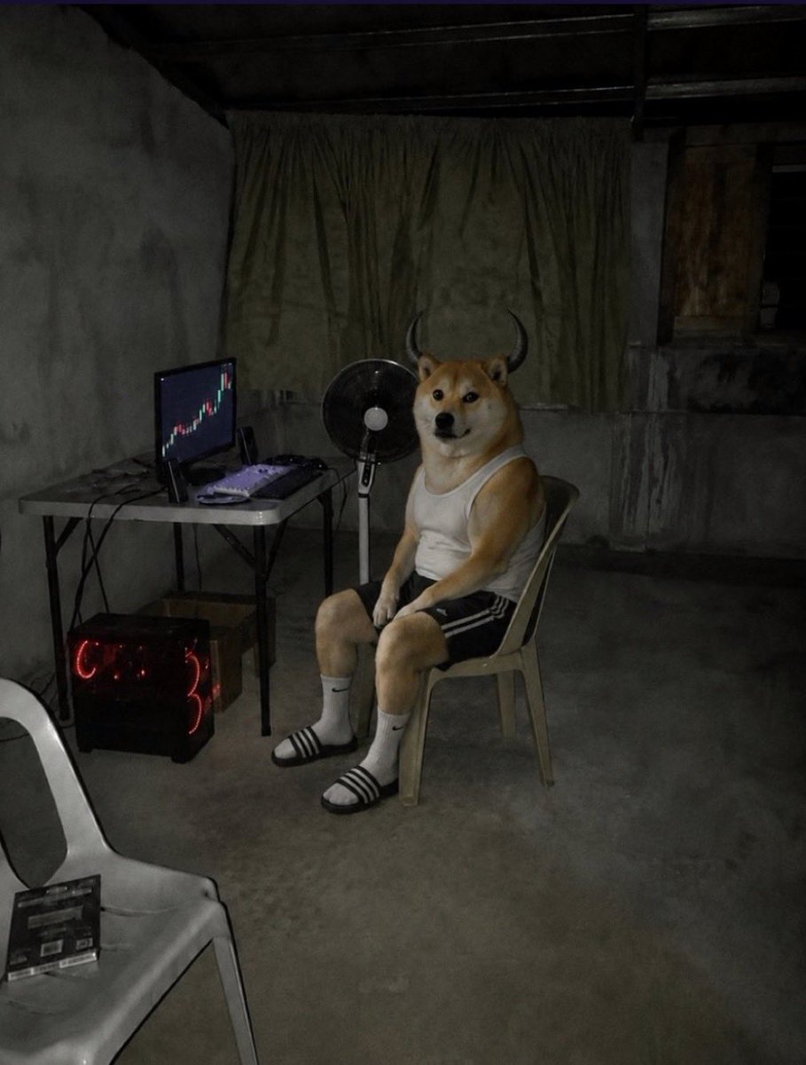 alexx_web33's tweet photo. @MrHodlReal solana:2ZvFgTyLMrgyLmoPHtD5KsTyALh14ffzxJoni4oPpump 
Bull energy meets doge culture. Tribute to the Dogefather with real skin in the game (21% + fees to @BillyM2k 
CA: 2ZvFgTyLMrgyLmoPHtD5KsTyALh14ffzxJoni4oPpump https://t.co/5SiQVn4SVf