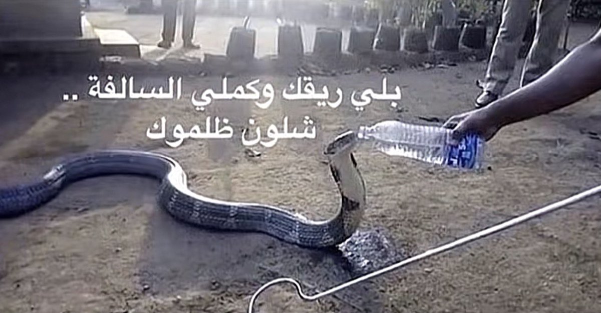 Saeiduh8's tweet photo. @شخص ما https://t.co/HFCZu5KnsN