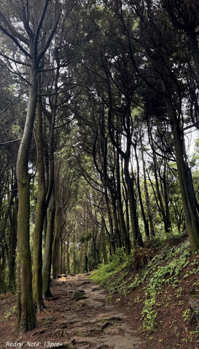 mndz1991's tweet photo. 🌳🛖🌳🌊🍻 https://t.co/iCfWsFzL0z