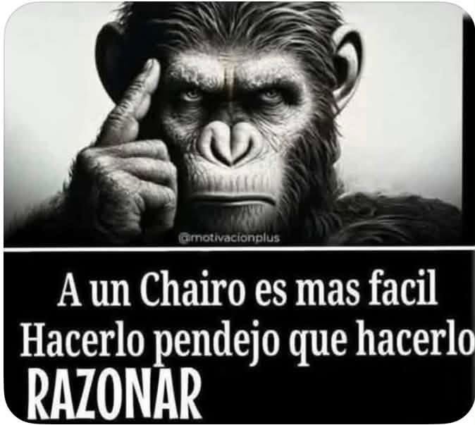 malario33's tweet photo. @JPascualAragon @AztecaNoticias @FGRMexico @ErnestinaGodoy_ @amlopezbeltran @Azteca @RicardoBSalinas @ElektraMx Asi te vez Camarada, defendiendo Delincuentes, mi todo Pendejo😘 https://t.co/1Rr9EQpxiL
