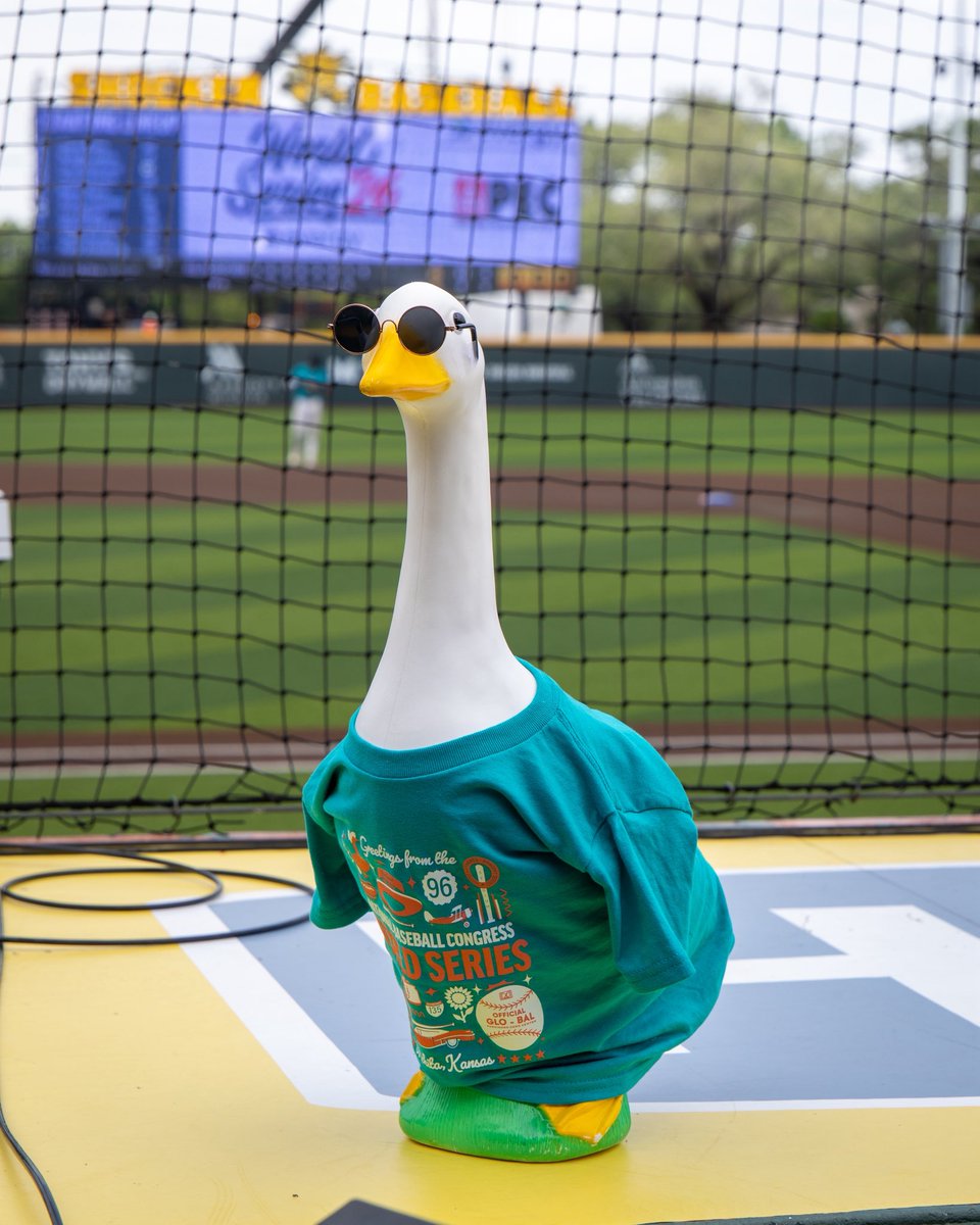 NBCBaseball's tweet photo. We know no one asked but… it’s national goose day! 🪿
Did you spot Gertie the goose at the World Series this year? Drop your best photos in the comments! https://t.co/hkCtU75QPc