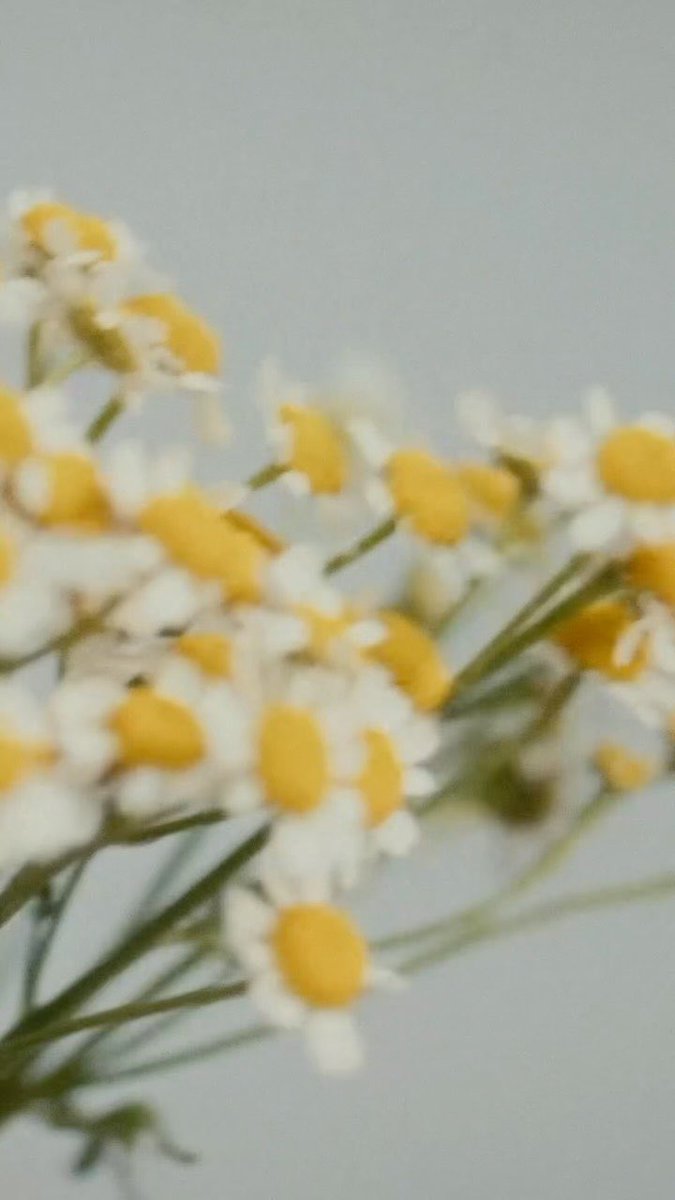 xjeonghani's tweet photo. 260929 mardi_mercredi_official Instagram Update #정한이윤
Something new is blooming. 🌼
A new face.
A new chapter.
And a new story with MARDI MERCREDI.
#MARDIMERCREDI #마르디메크르디 #NEWAMBASSADOR
https://t.co/k0x89dEDe8