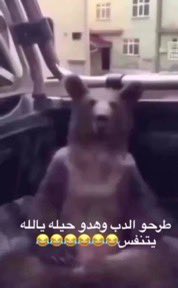 No_More_Veils's tweet photo. #٢٠٣٠_بلا_نقاب #no_more_niqab الله يهلكهم شرطه النيقاب وعبدات الذكور https://t.co/KQgeRTyfwm