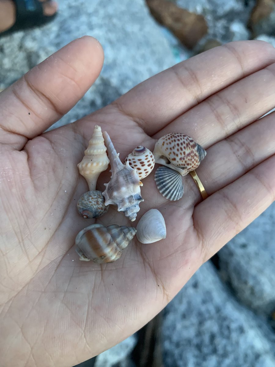 Khaledaaaa_'s tweet photo. 🐚 https://t.co/bklnD5LS6A
