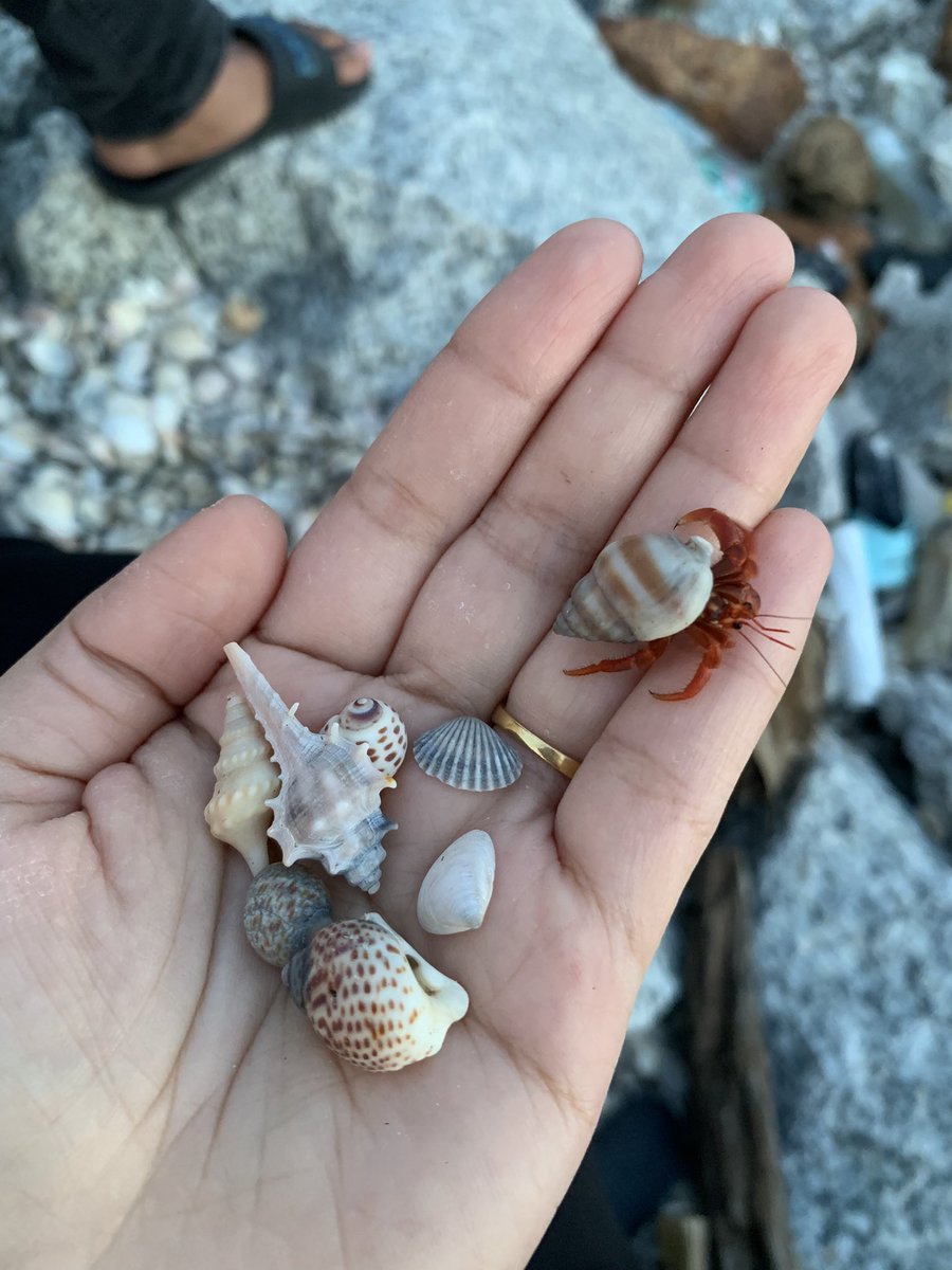 Khaledaaaa_'s tweet photo. 🐚 https://t.co/bklnD5LS6A