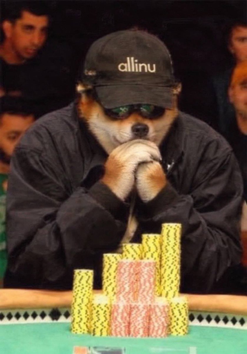 CryptoRyder_'s tweet photo. All f*cking inu https://t.co/8MhsBKGCdc