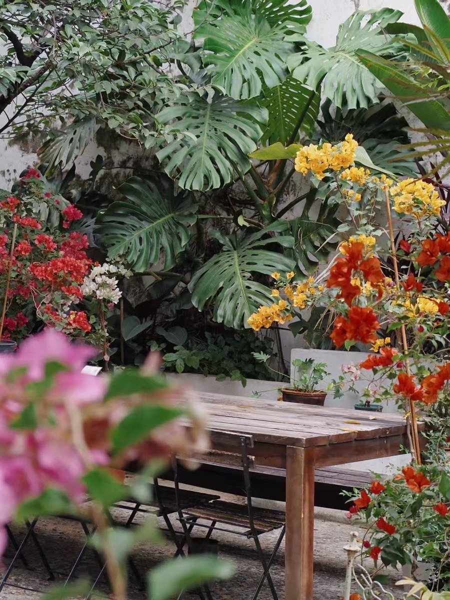 fzlion7's tweet photo. [The green plants in the yard are so lively, showing the vibrancy of spring!] https://t.co/ncjfHY9jUs