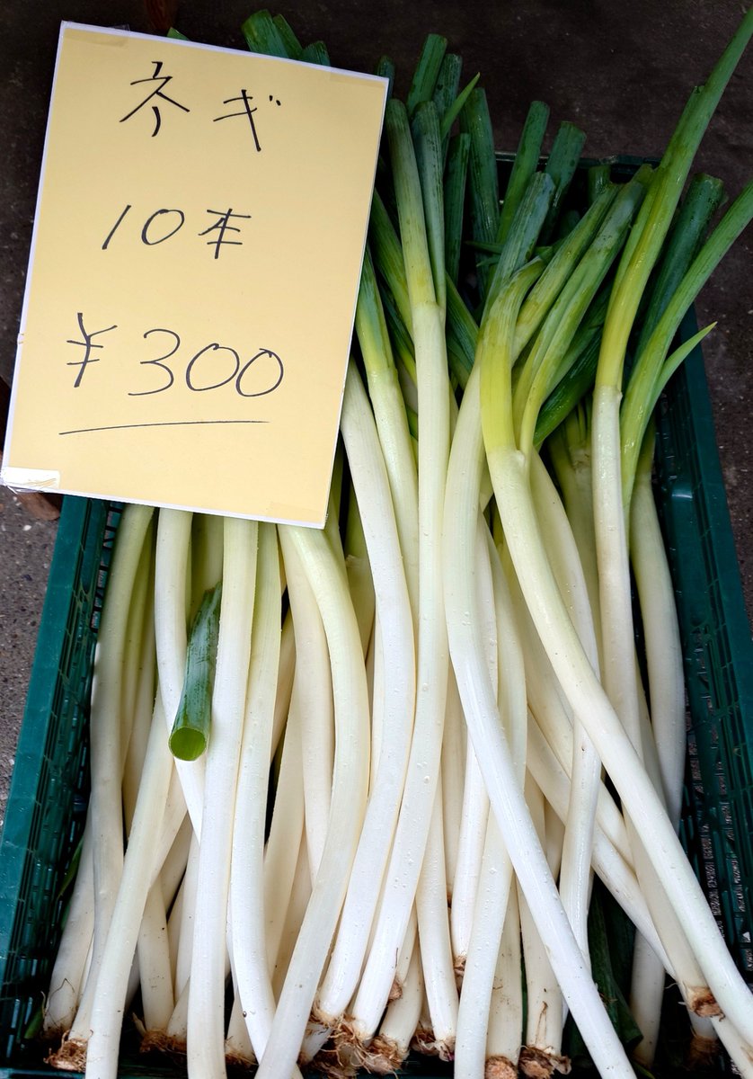 news_imada's tweet photo. 今日も店頭にてお野菜販売中✨️
雨の日価格☔柿とネギがお得🉐
ぜひ、お越しください😊

毎週火曜日（祝日は休み）10時〜12時すぎくらいまで時間限定で営業中‼️
新宿JR大久保駅南口からすぐ、小滝橋通り沿いで職安通りとの交差点近く https://t.co/Sk2xbRMr0k
