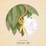 Photo by はな言葉🌷葉菜桜花子🌷新刊発売 (@hanacotoba_jp)