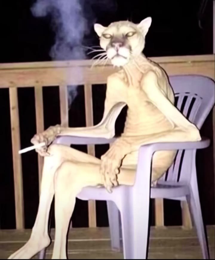 venenoodiada's tweet photo. Me duele la garganta de fumar y lo soluciono fumando mas https://t.co/dhBTJxJ9j1