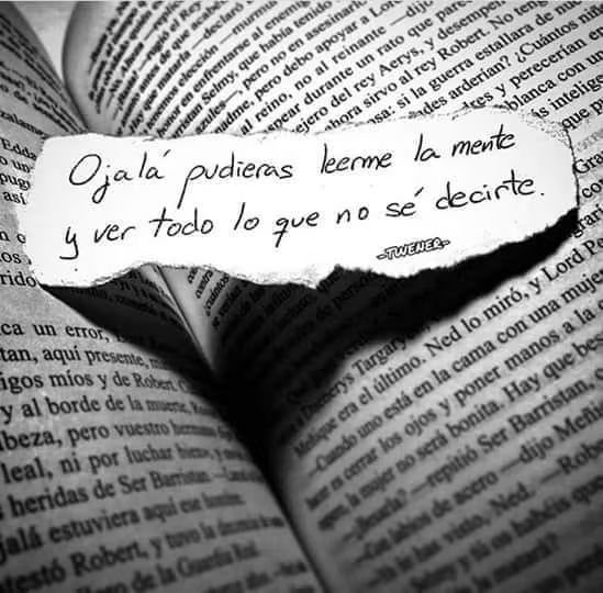 El_abuacatit0's tweet photo. 🌷 https://t.co/vITKFjhiLE