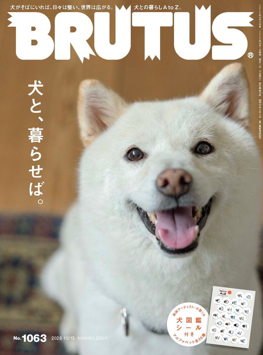 BRUTUS_mag's tweet photo. 【表紙解禁】
ブルータス、次号は……。

◤犬と、暮らせば。◢

詳しくはこちら→
https://t.co/y1LyJRcWEB https://t.co/cTS41XwVgd