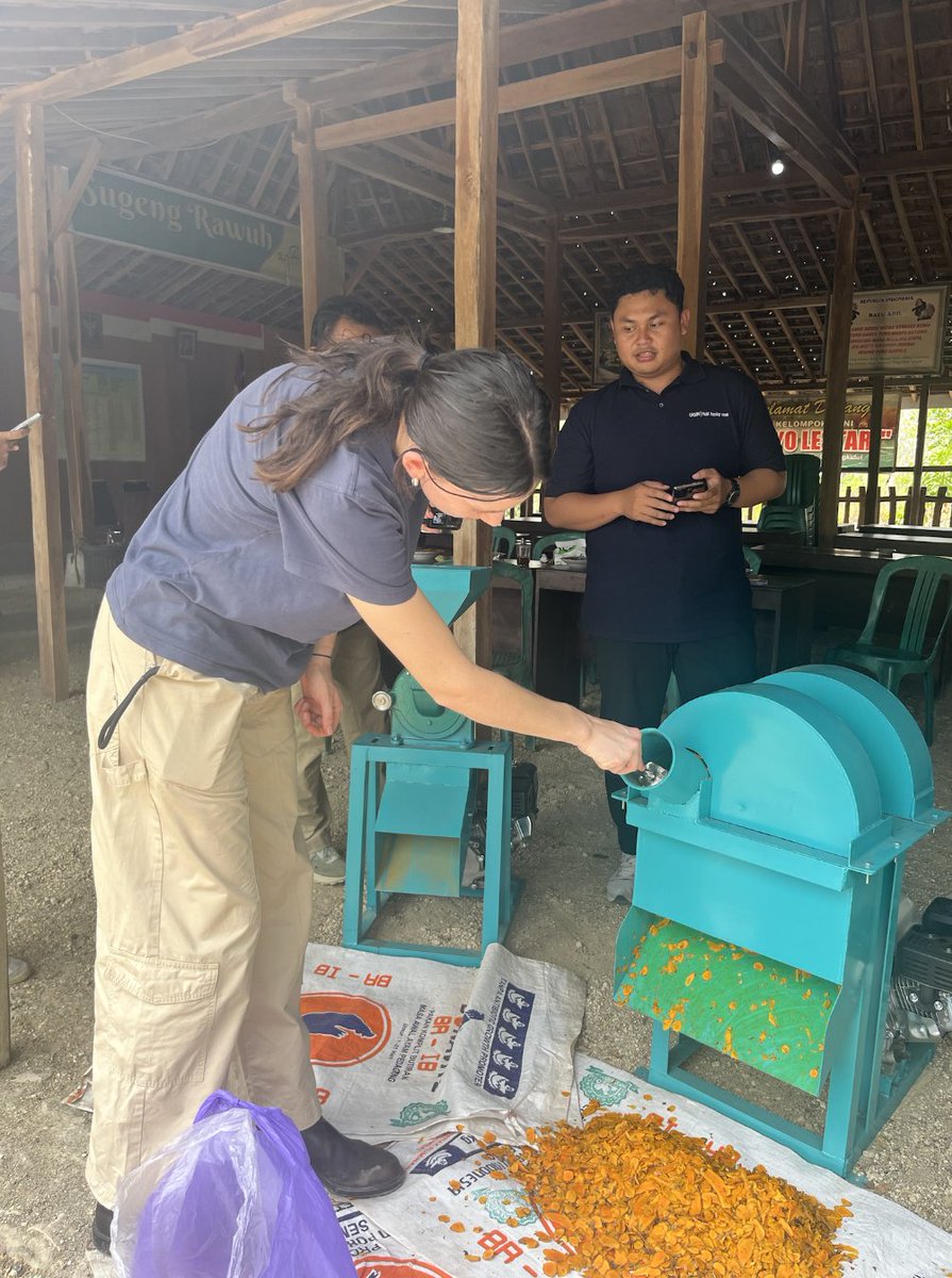 CrawfordFund's tweet photo. 🌿🫚 2026 #NextGenAg4D Student Awardee Ellen O’Brien @UTAS_ is in 🇮🇩 Indonesia exploring how under-canopy crops like turmeric and lemongrass can diversify community forestry, add value and increase farm income. 

Learn more: https://t.co/DIEX2JIdgn https://t.co/Mt4zpQrEO4