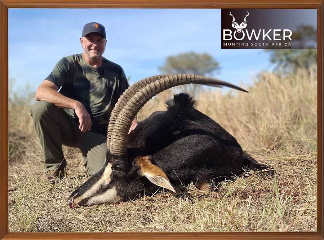 BowkerHuntm's tweet photo. The sable Africa's crown jewel. A trophy of a lifetime, earned the hard way.
#BowkerHunting #SableAntelope #AfricanSafari https://t.co/cY5zPSGoo0