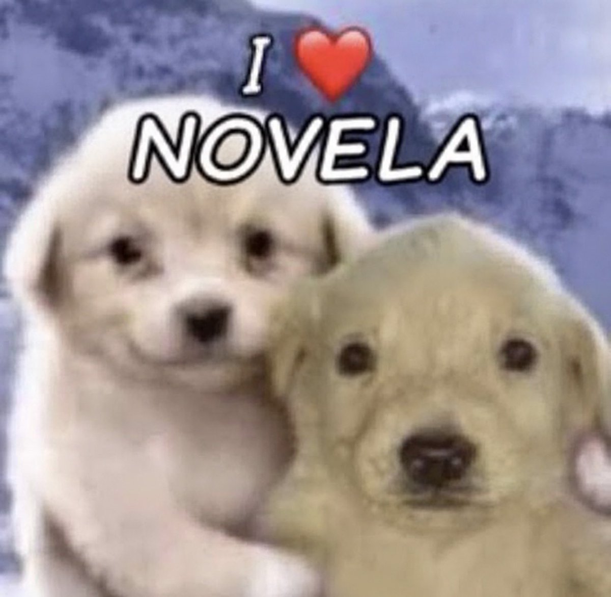paiva's tweet photo. como é bom ser noveleiro https://t.co/vlkYvR8ZJH