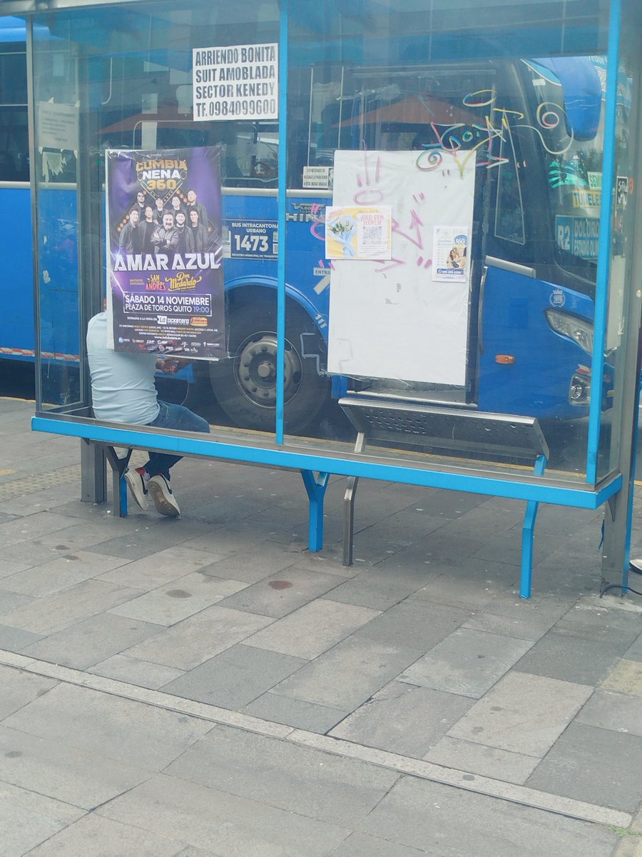 soo_binloves's tweet photo. Ojalá pronto ver carteles así x Quito pero para el concierto de skSTRAY KIDS IN ECUADOR
#BRING_RUN_IT_ECUADOR
#EcuadorNeedsStrayKids 
@Stray_Kids
@one_more23240
@FeeltheclubLive https://t.co/vlO51zfRrA