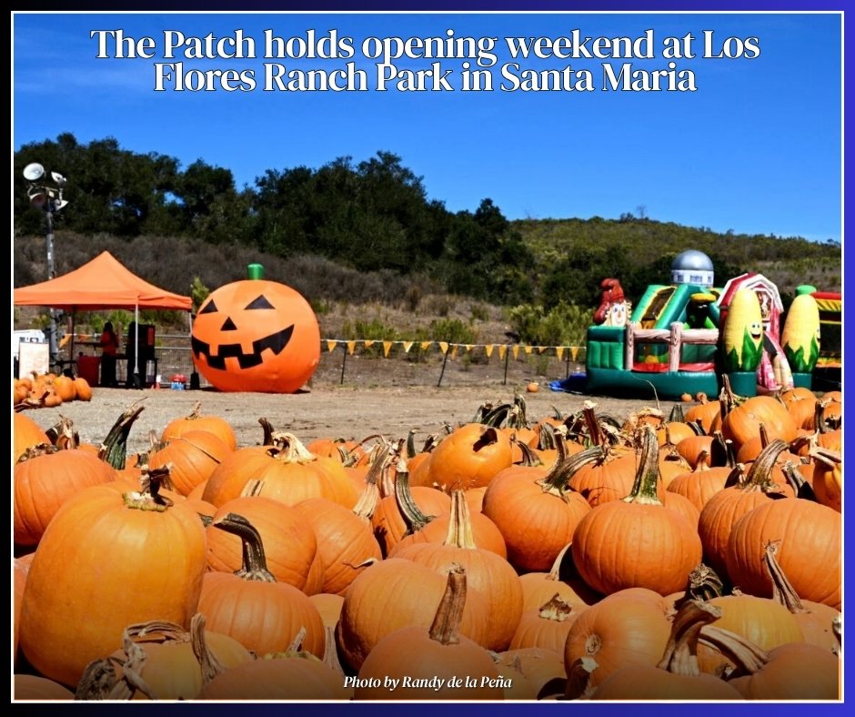 SantaMariaTimes's tweet photo. The Patch, at Los Flores Ranch Park, returned for its ninth season with hundreds of pumpkins and a variety of seasonal activities for the family to enjoy. 
See more photos - 
https://t.co/PbYRB85FQs https://t.co/38mZSKOlQ0