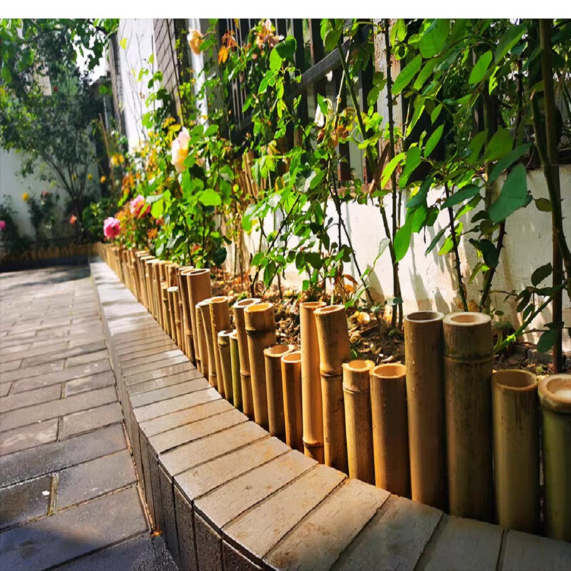 VP65WUJSXsA3GyV's tweet photo. Let me sneak through the garden path to reach the delicate, fresh-sewn [韶笆抠] decor by the fence!， https://t.co/SPbTtwjgqr