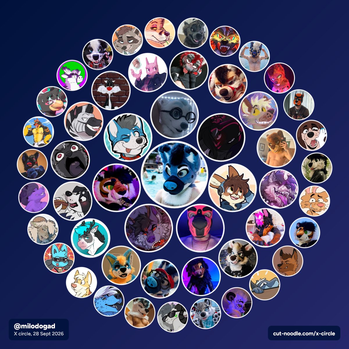 milodogad's tweet photo. Stupid circle thing lol https://t.co/1hBsZmelTc