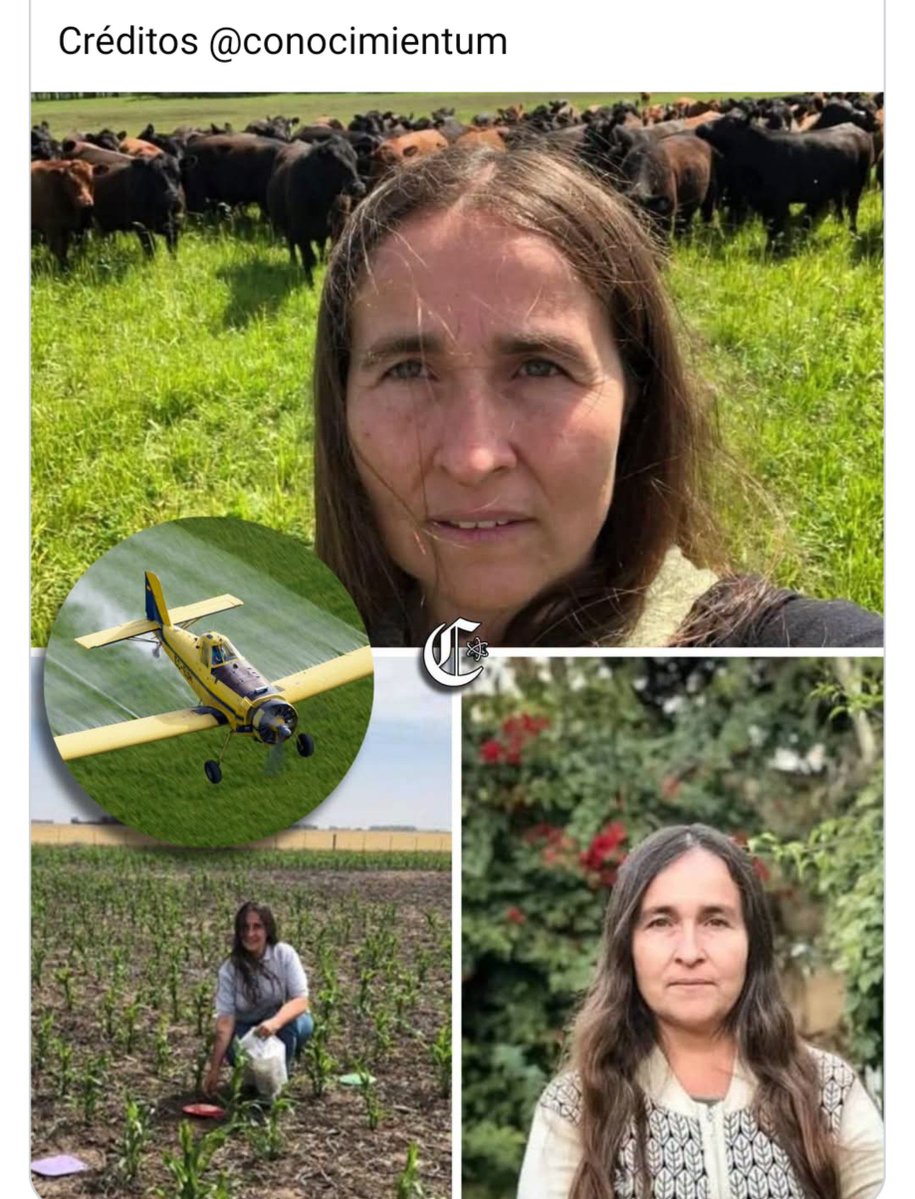 AdrianEFirpo5ok's tweet photo. 🚨 CIENCIA BAJO AMENAZA: EL CASO DE VIRGINIA APARICIO 🚨
​Una científica argentina que investigó la presencia de plaguicidas en personas y el ambiente enfrenta un proceso que podría dejarla fuera del INTA.  
​👩‍🔬 ¿Quién es y qué investigó?
Virginia Aparicio, ingeniera agrónoma, doctora en Ciencias Agrarias e investigadora del INTA y del CONICET, coordinó en Argentina el proyecto internacional SPRINT, financiado por el programa Horizonte 2020 de la Unión Europea. La investigación buscó identificar residuos de plaguicidas en distintas matrices ambientales y biológicas, incluyendo muestras de personas, animales, alimentos y ambiente. En el país, el estudio incluyó muestras biológicas humanas y una pulsera utilizada durante siete días para registrar la exposición; en ellas se analizaron hasta 208 plaguicidas. Los resultados identificaron diferentes sustancias y mezclas, aunque el objetivo inicial era mapear qué compuestos aparecían y dónde, no determinar sus efectos sobre la salud.  
​🛑 El conflicto institucional
El conflicto comenzó en 2023, cuando el INTA suspendió una presentación pública en la que Aparicio y su equipo iban a comunicar los resultados generales del relevamiento argentino. Posteriormente, el organismo decidió finalizar la participación de Argentina en SPRINT, mientras que la investigadora quedó involucrada en un sumario administrativo.  
​⚖️ Sumario y posible exoneración
En septiembre de 2026, medios argentinos informaron que el expediente administrativo podría derivar en la exoneración de Aparicio, lo que representa una de las sanciones más graves dentro del empleo público, según lo señalado por su abogado.  
​🗣️ Defensa y respaldo
Aparicio sostiene que este proceso está directamente relacionado con su trabajo científico y ha defendido su trayectoria de más de dos décadas en el INTA. El gremio de trabajadores del INTA también expresó su respaldo y reclamó que la investigación científica pueda desarrollarse con libertad, transparencia y respaldo institucional.  
​Este caso ha generado un fuerte debate sobre los límites de las instituciones públicas para comunicar investigaciones y sobre cómo deben protegerse la independencia y la transparencia científica en nuestro país.  
​(Créditos: @conocimientum)  
​#CienciaArgentina #INTA #CONICET #CienciaLibre #MedioAmbiente #InvestigaciónCientífica