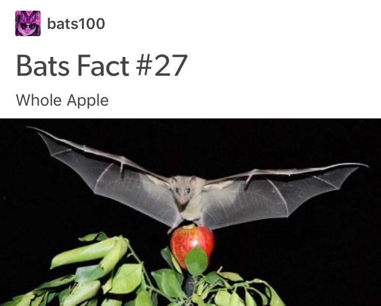 battwting's tweet photo. https://t.co/6MhxR8ocPU