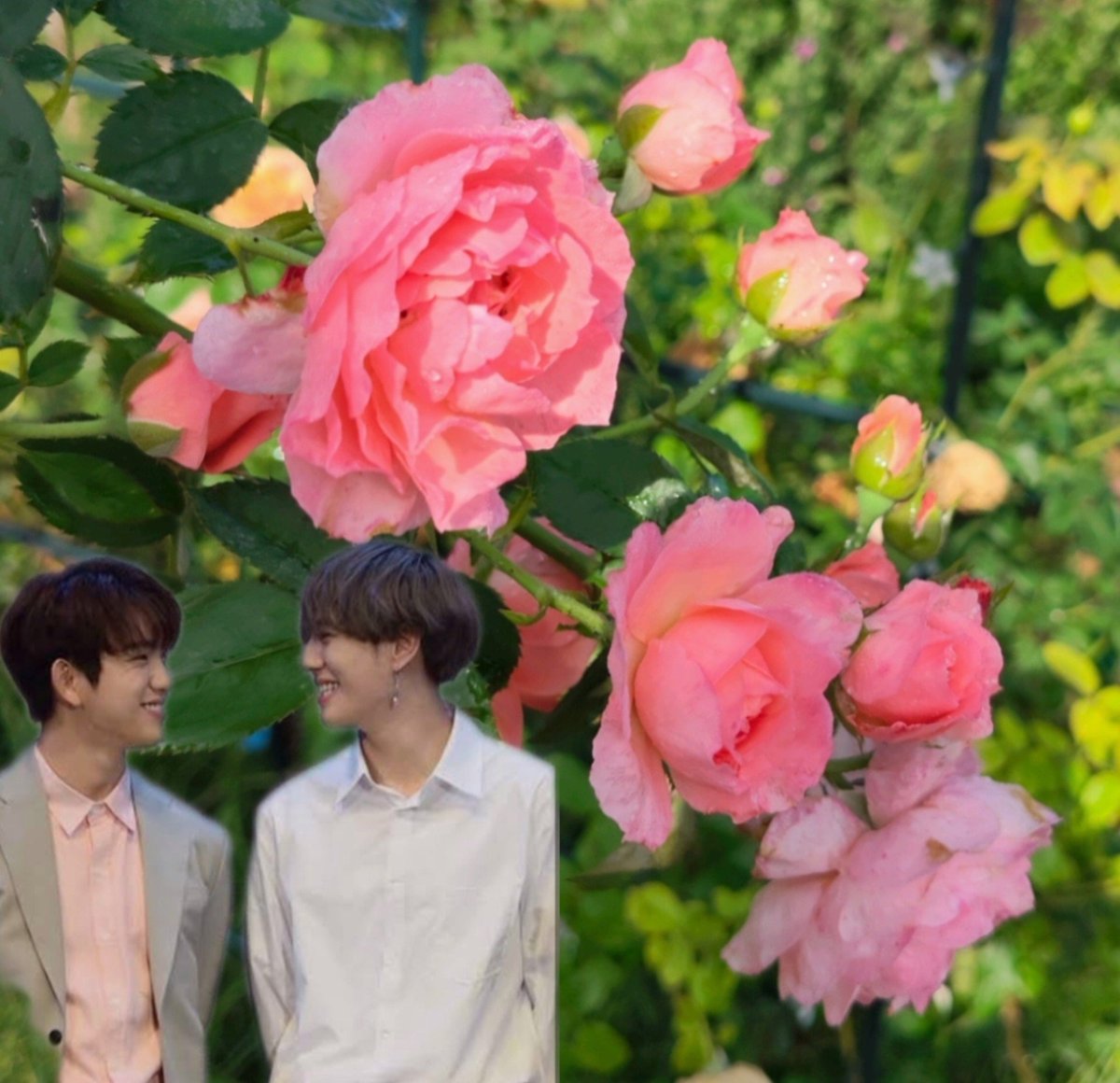 YugJin_ThaiFan's tweet photo. Morning🩷 #yugyeom #jinyoung https://t.co/0jD0VHAfpI