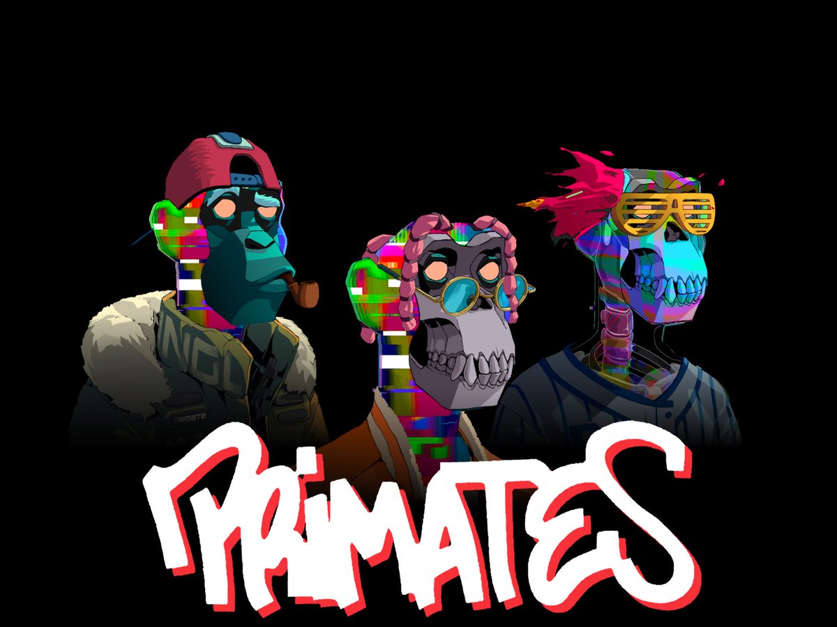 LilGlitchyy's tweet photo. My Primates #6077 #1261 #2312 🦍 https://t.co/9gJ6Pd2AUM

lil glitch ganggggg https://t.co/Gr2BOJNAas