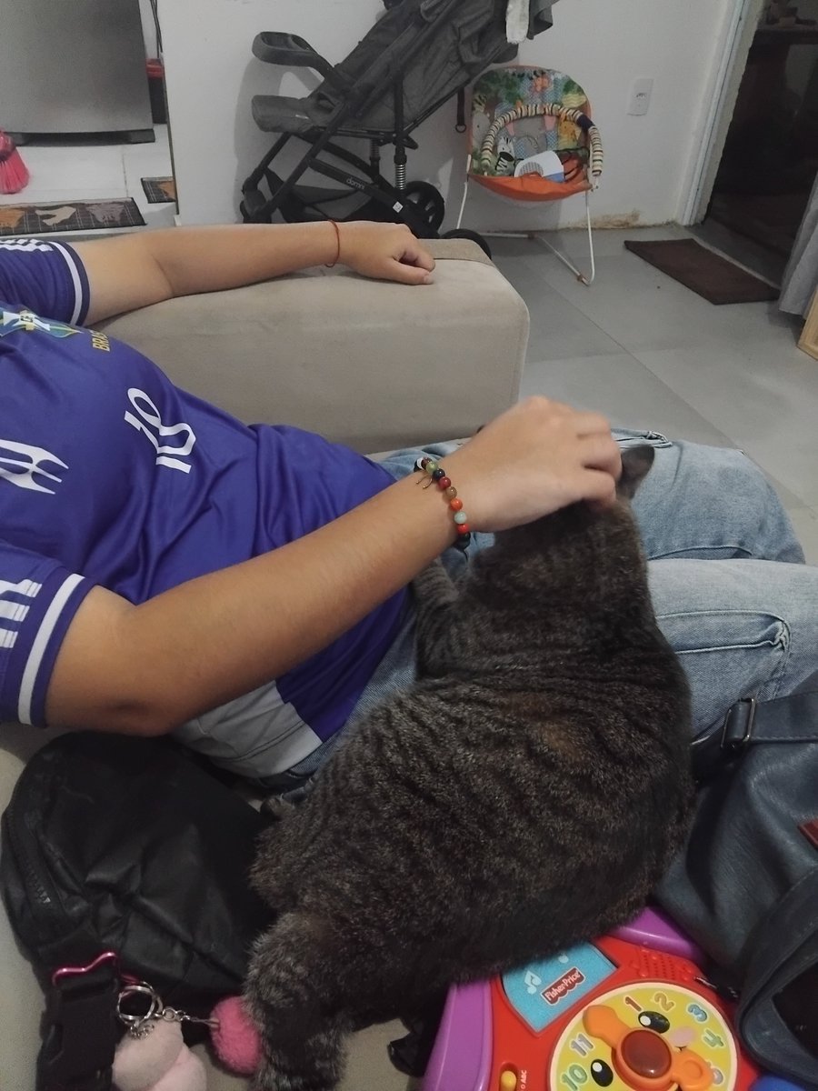 grapetted's tweet photo. a coisa mais linda e engraçada queeu vi hoje foi a primeira interacao de ali com um gato na minha frente https://t.co/tZ8o8PamYV