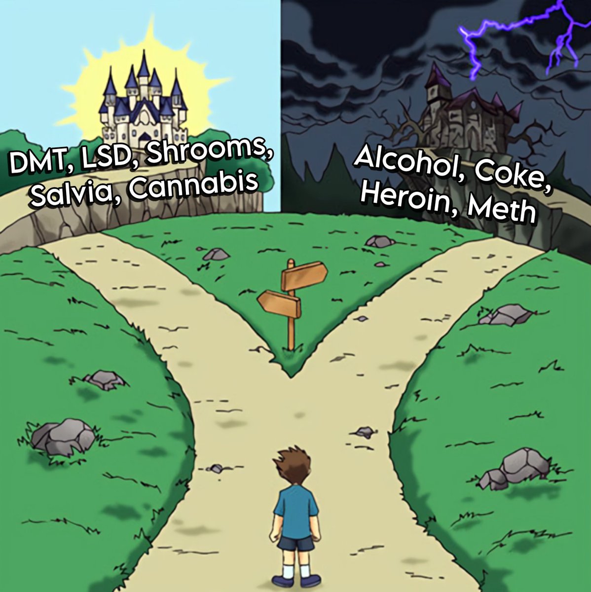 APsychedelics's tweet photo. Drugs for the soul vs drugs for the body 🏰 https://t.co/2uepdxDXoC