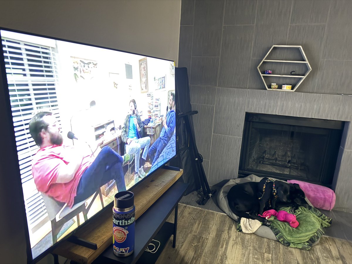 TexasCut's tweet photo. All I see is 5 (FIVE) YN’s right here. My 2 black labs and my 3 black **BOOOOOOOOOP!!! 

@benaveryisgood @lemonpartyshow2 @DevanCosta @bendoingsoyface @BuffBenAvery @_vandul https://t.co/DDmSsXSoaF