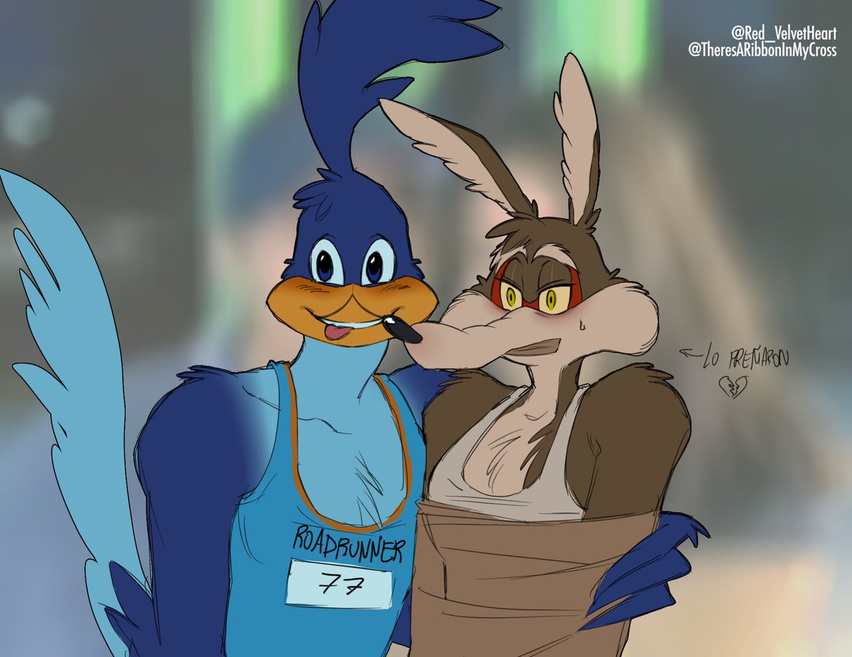 red_velvetheart's tweet photo. Cómo va a terminar la cosa si el correcaminos no va a terapia 💔

#roadrunner #wilerunner #wileroadㅤㅤ #coyotevsacmeㅤㅤ #WileECoyote #looneytunesㅤㅤㅤ https://t.co/HpwVV1FCUR