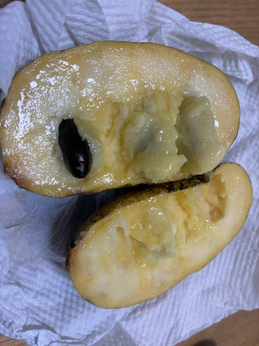 miikalove's tweet photo. 昨日よりちょいと甘い
この見た目はどうにかならんもんかな https://t.co/VsiLZ99cDz