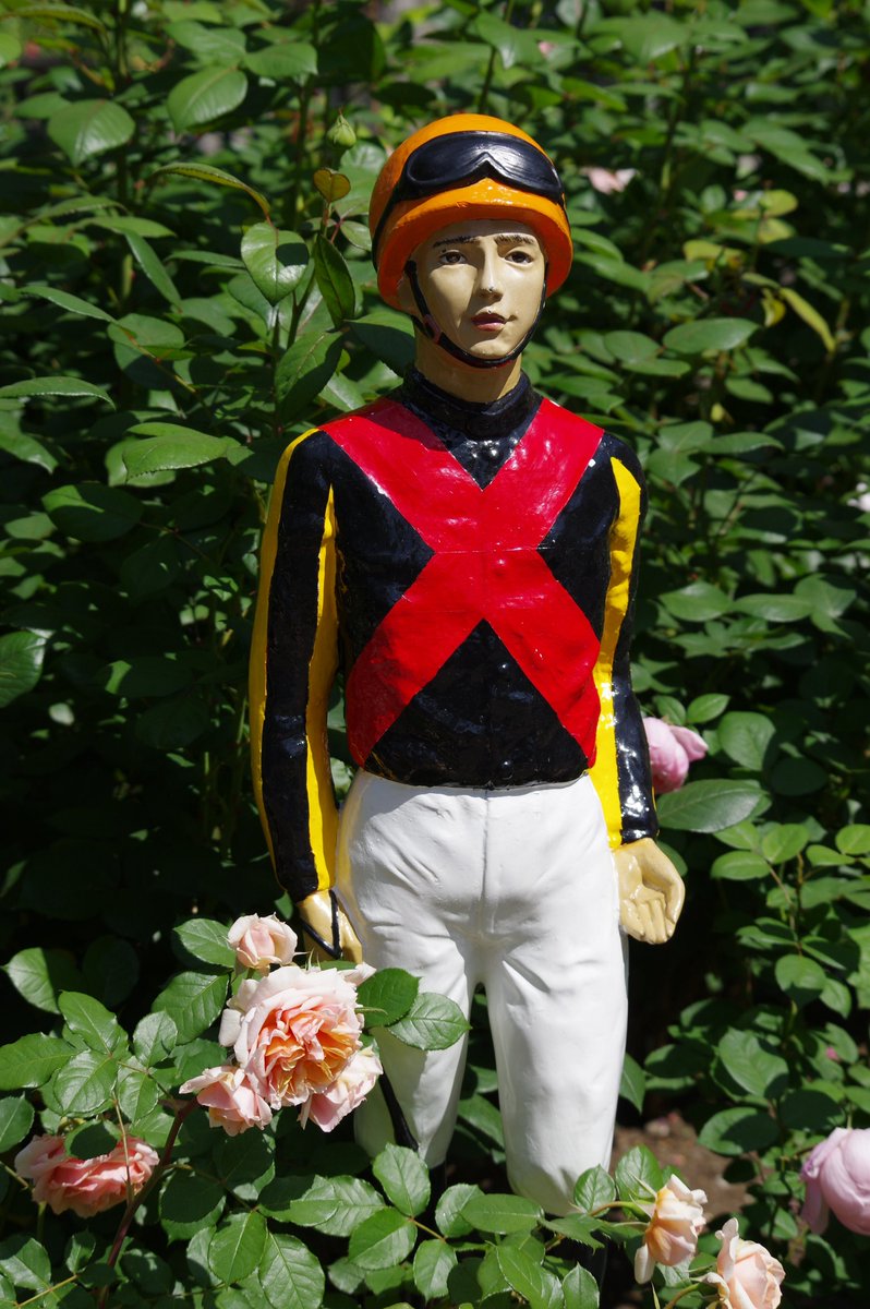 taramopicture's tweet photo. 2026/05/10
東京競馬場
5月は花がたくさん咲いていて綺麗 https://t.co/9AFXPeFxgZ