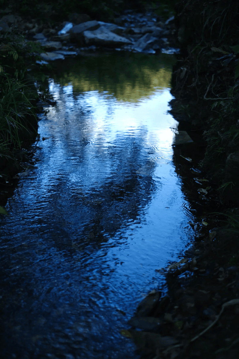 k_ynatay_85_356's tweet photo. On a misty, fishy morning, the stream gently flows. https://t.co/cpXiIkWBlq