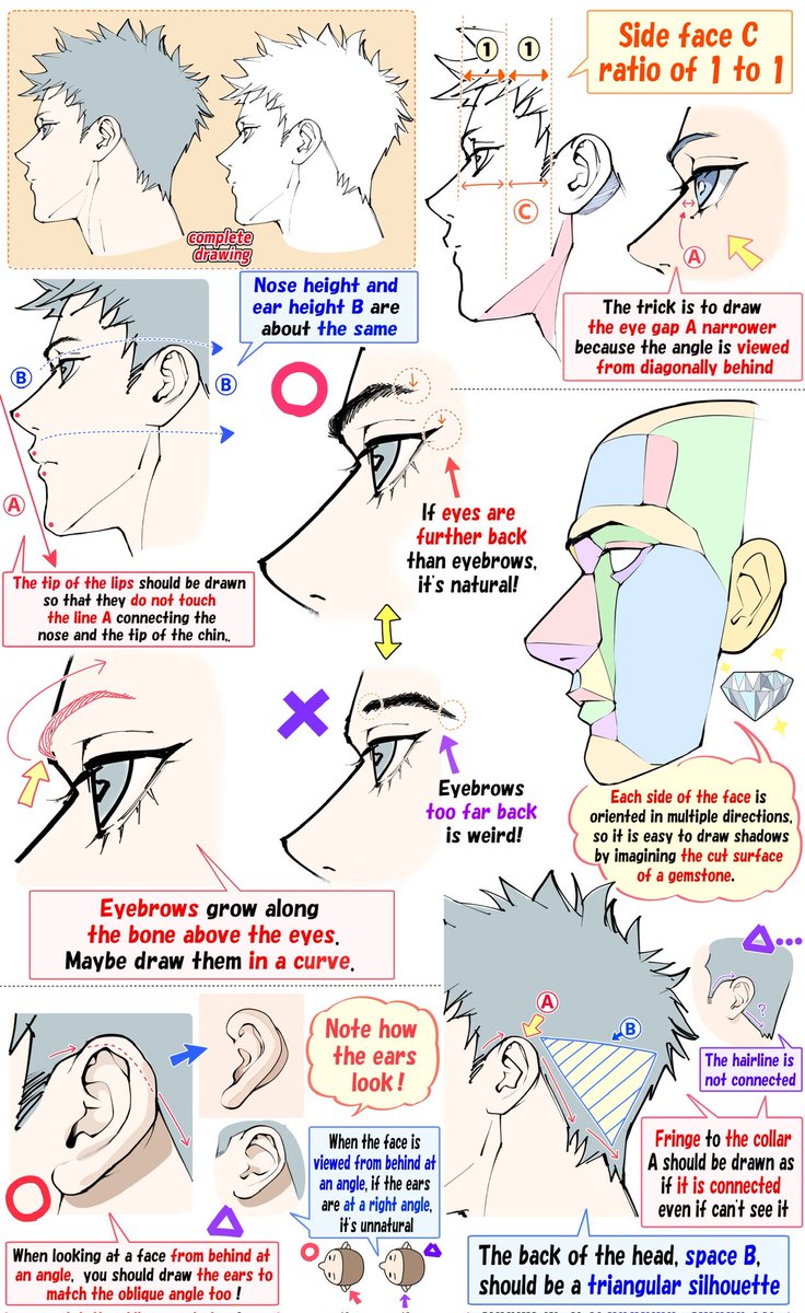 takuya_kakikata's tweet photo. How I Draw Side Profiles: Proportions, Structure &amp; Features. https://t.co/8hFeieZ8k2