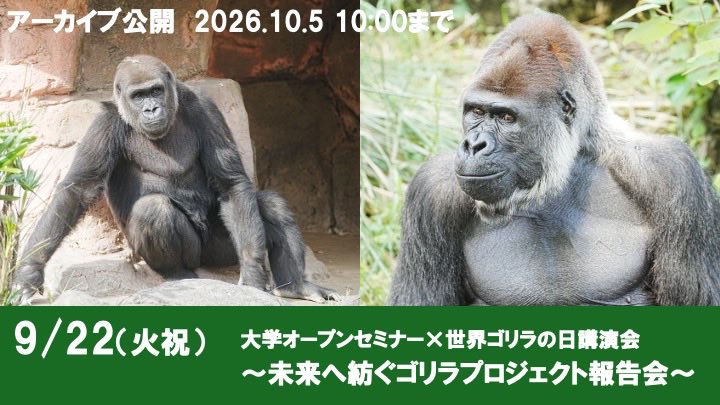 ChibaZoo's tweet photo. 【講演会アーカイブ公開のお知らせ】

2026年9月22日に開催しました講演会「未来へ紡ぐ #ゴリラ プロジェクト報告会」のアーカイブを期間限定で公開いたします。
ぜひご覧ください✨(ア)

10/2(金) 10：00〜10/5(月) 10：00まで

https://t.co/kv9J4XpsID

#千葉市動物公園　#アカデミア・アニマリウム https://t.co/r0lzPnE6EB