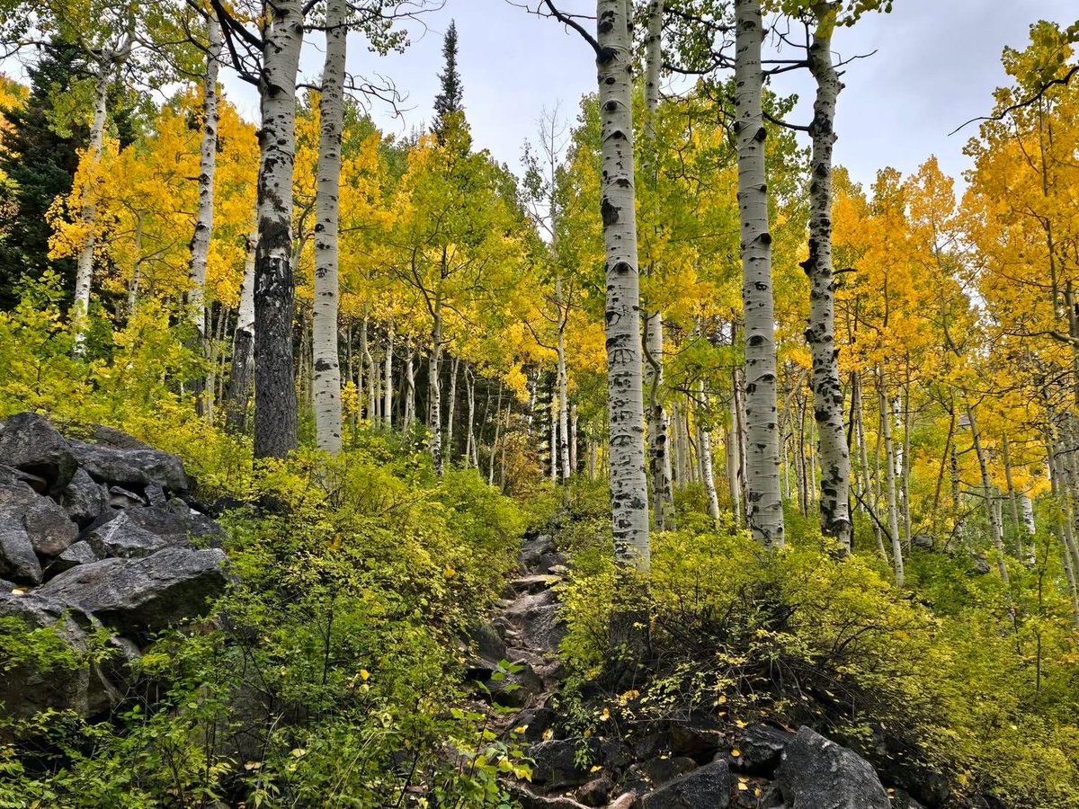 razzledaxel's tweet photo. the leaves are changing. so am I https://t.co/qxI6CxAbca