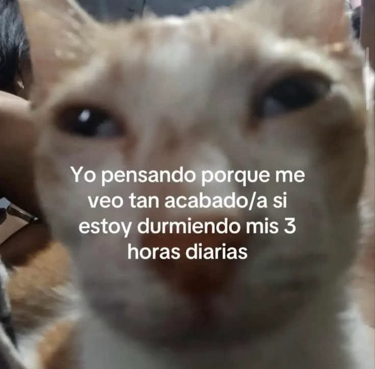 minidramatica's tweet photo. https://t.co/2TaADJxQsA