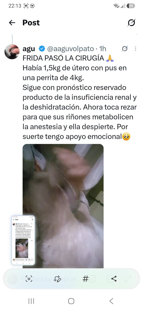 alembermejo's tweet photo. @aliciaalfonso3 @sole_castelli Muchas gracias Agu! Ahora a rezar. Las próximas 72 hs son críticas. https://t.co/1KsScWHYBX