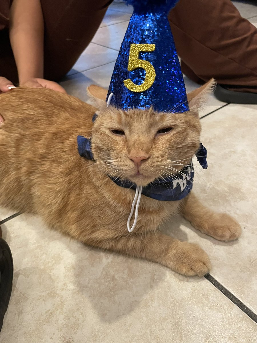 chillwame's tweet photo. 🐈🐱🧡

It’s my babas 5th birthday!!! He’s the only thing keeping me sane in tough times like these and I appreciate him so much.

Please wish him a happy birthday as you scroll ^_^ https://t.co/OTG30CFkHd
