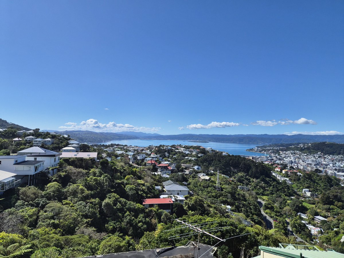 Manukattw's tweet photo. Work from home days are great because I can climb a hill and walk through regenerating forest (and invasive weeds) on my lunch break and, in the morning, wild parrots gallop across the roof. https://t.co/HUgg1kvhbd