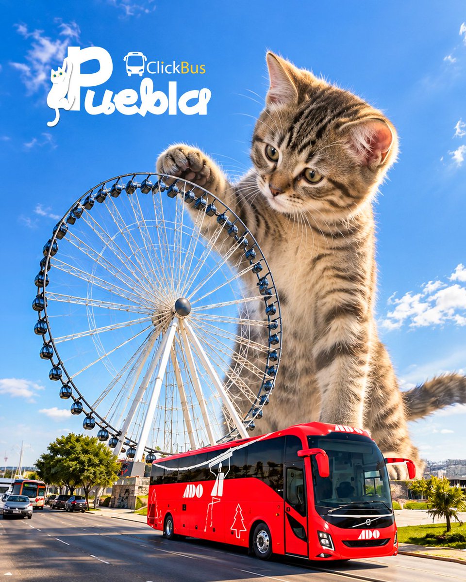 Click_Bus's tweet photo. Ya sea que vengas a comer un buen mole o a turistear. En ClickBus encuentras tus boletos de autobús para viajar a Puebla, fácil y rápido 🚌👉 https://t.co/Ii6fQQvnbW 

​📞 Llámanos al: 55 5350 8737  

​#DestinosMéxico #ClickBusTeLleva #Puebla #Michis https://t.co/W5Dh71moyf