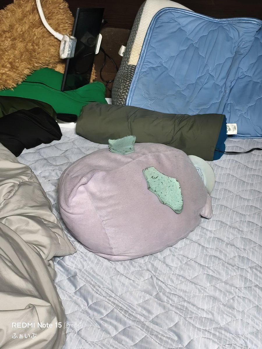 9216test9216's tweet photo. ふぁいぶ…ただいま🙂 https://t.co/aR6Hl05Of1