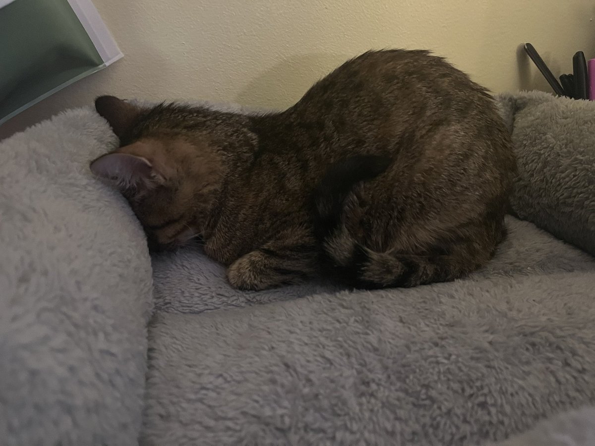 sweetpepperboy's tweet photo. can you breathe maple https://t.co/eQSImWPnrw