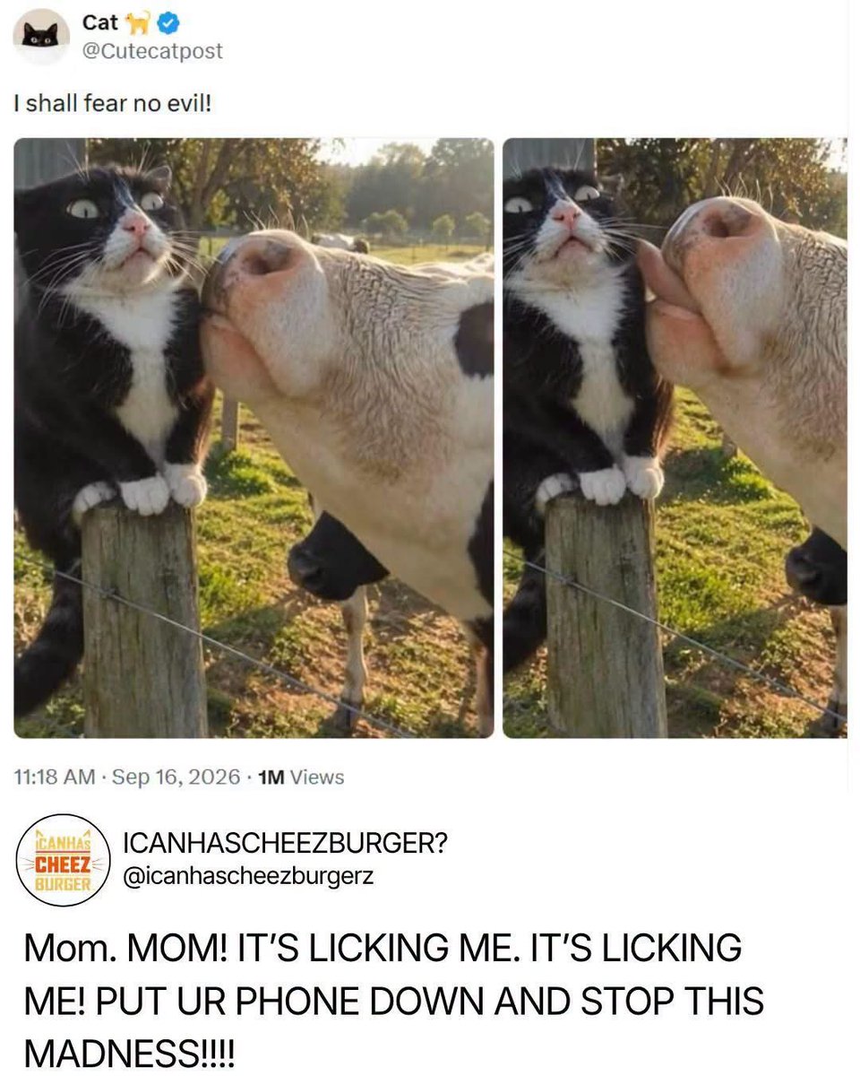 QKitty1776's tweet photo. Yep that be my mom. 

“Aww look how cute” she would say and keep taking pics. 

😹😹😹 https://t.co/st0Ks1mpzm