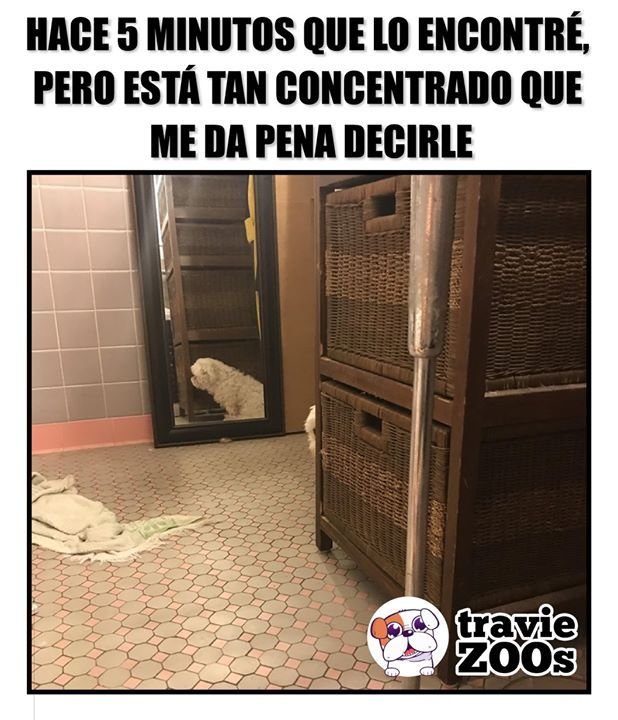 dulcequeentero's tweet photo. https://t.co/PIsDKBjfMr