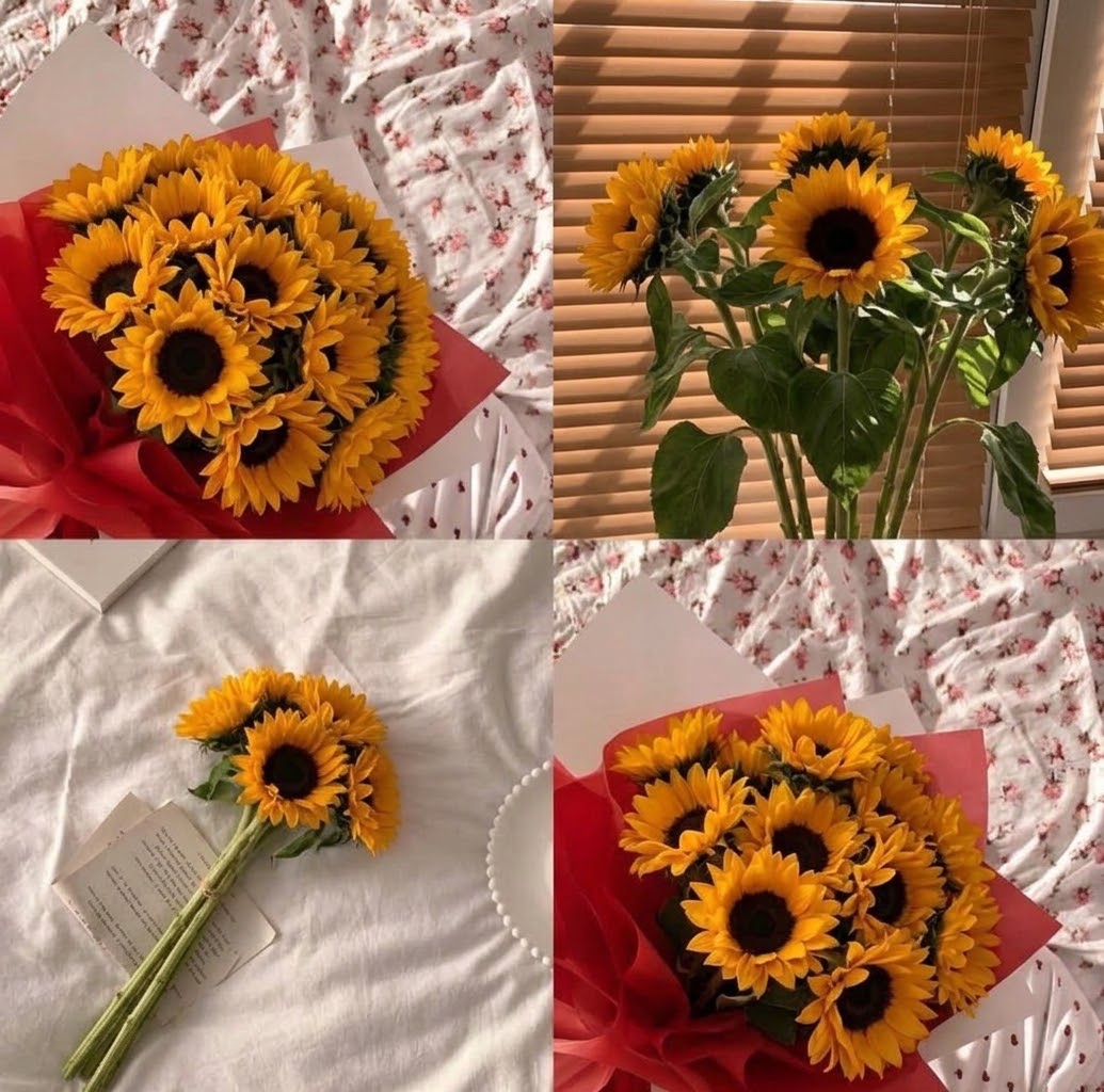 sunflowerchives's tweet photo. Just leaving a little beauty here https://t.co/bsLcFVZsk5