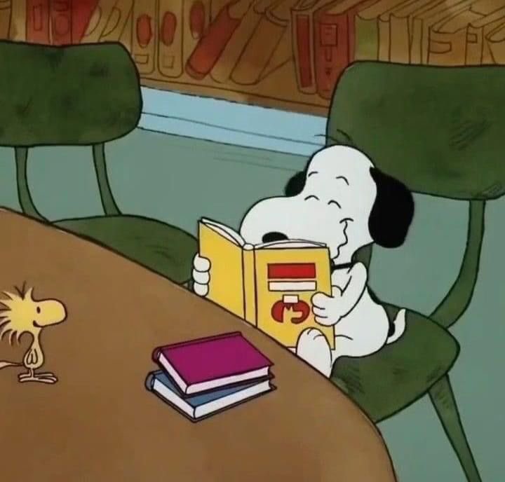 DailySnoopys's tweet photo. me whenever i have free time https://t.co/Pd1D0TBtZr
