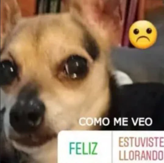 nid_html's tweet photo. cómo es que me encontré a un hombre tan bueno omgg 😭😭 q lindo https://t.co/JdAQTM6fQd